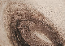 Metamorphose-1