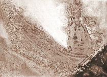 Metamorphose-2