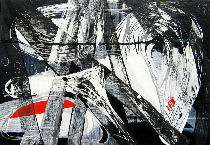 Ultraschall-1